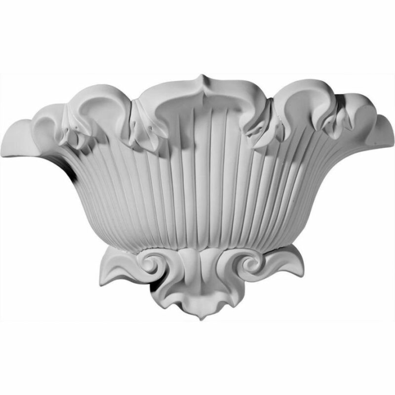 Shell Sconce